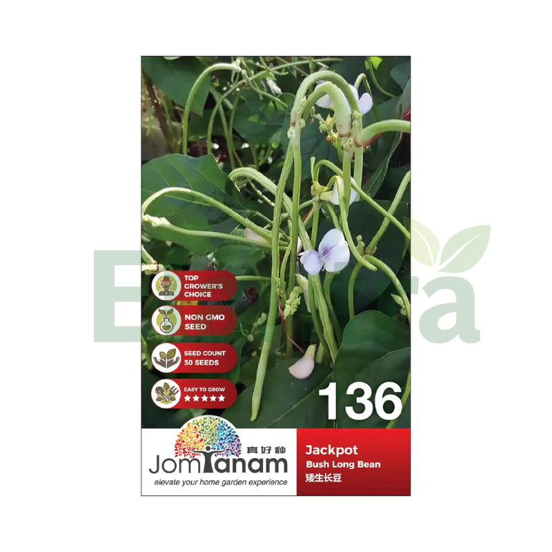 136 BUSH LONG BEAN